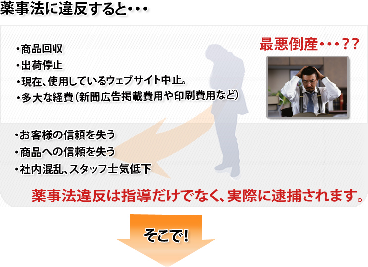 薬事法に違反すると… ・商品回収 ・出荷停止 ・現在使用しているウェブサイト中止。 ・多大な経費(新聞広告掲載費用や印刷費用など) ・お客様の信頼を失う ・商品への信頼を失う ・社内混乱、スタッフ士気低下 薬事法違反は指導だけでなく、実際に逮捕されます。