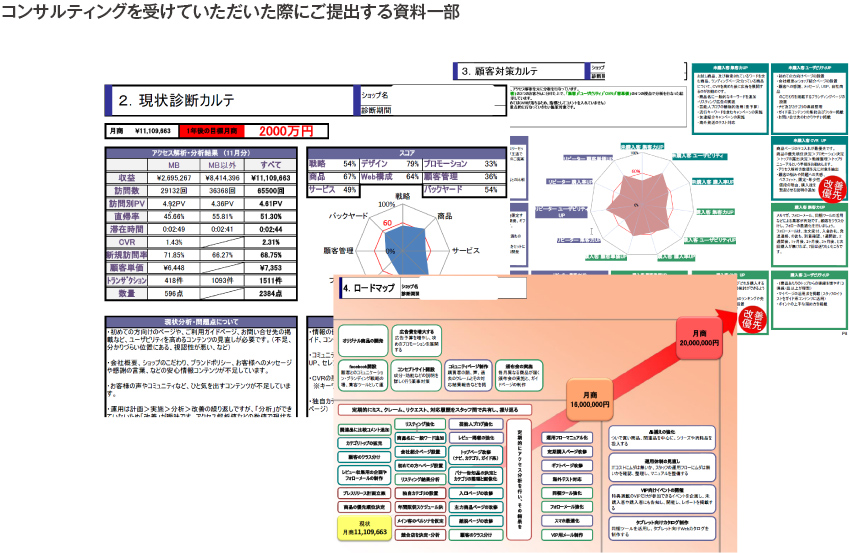 コンサルティングを受けていただいた際にご提出する資料一部