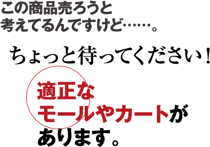 その商品を売るのに適正なモールやカートがあります【お試しコーチング3ヶ月コース】ECコンサルカンパニー