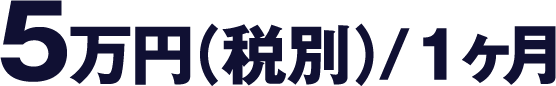 5万円（税別）/1ヶ月【スポット1ヶ月コース料金】ECコンサルカンパニー