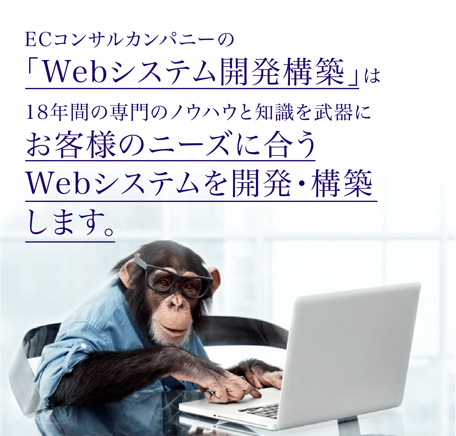 お客様のニーズに合うwebシステムを開発 構築します 株式会社ecコンサルカンパニー