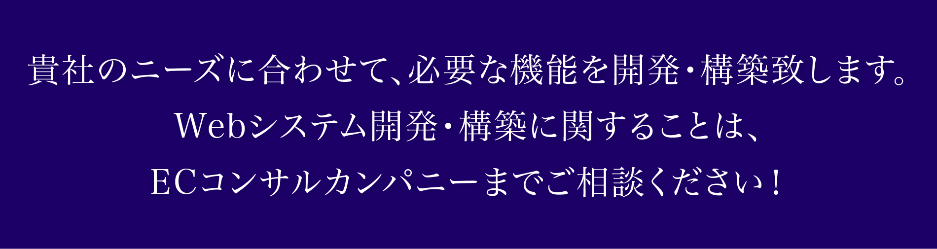 貴社のニーズに合わせて、必要な機能を開発・構築致します。Webシステム開発・構築に関することは、ECコンサルカンパニーまでご相談ください！