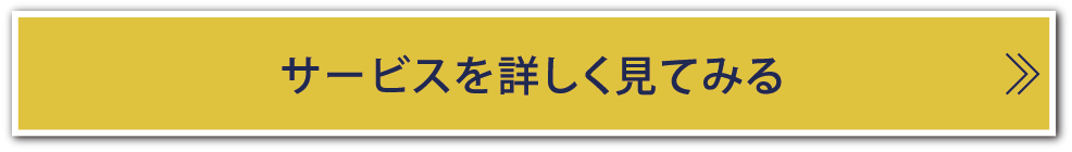 Webシステム開発構築サービスを詳しく見る